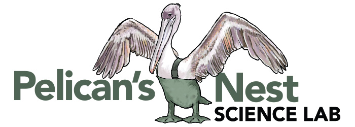 Pelican's Nest Science Lab