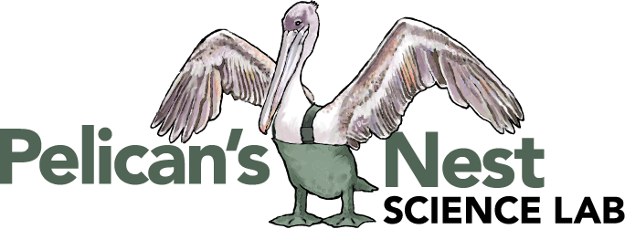 Pelican's Nest Science Lab