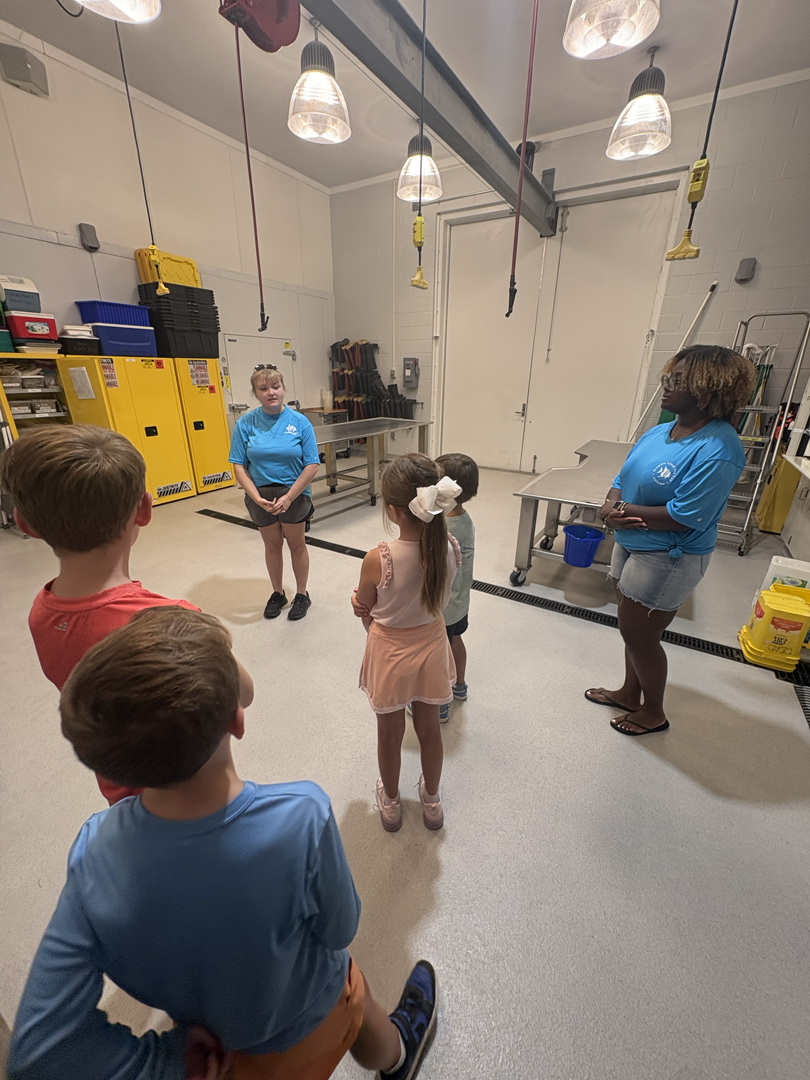 Alabama Species Initiative