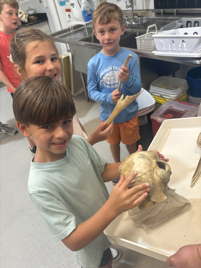 Alabama Species Initiative