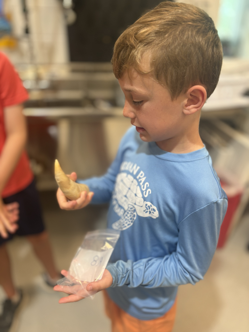 Alabama Species Initiative